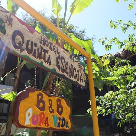Quinta Esencia Bed & Breakfast Brasilito Luaran gambar