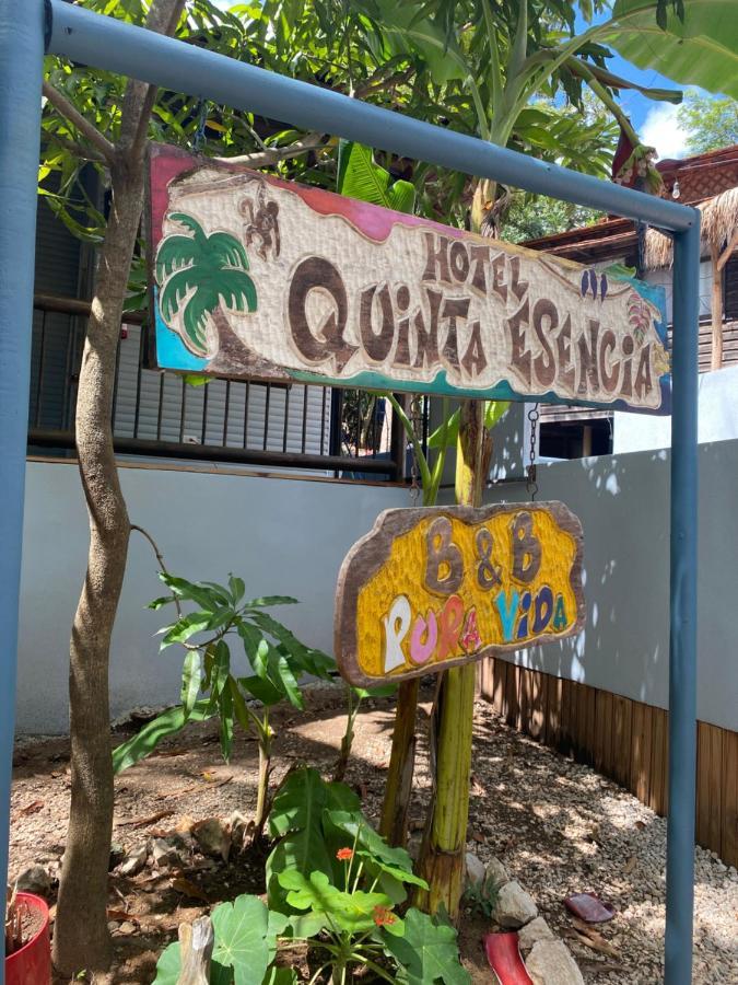 Quinta Esencia Bed & Breakfast Brasilito Luaran gambar